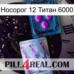 Носорог 12 Титан 6000 37